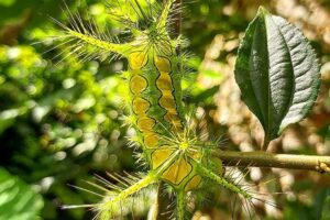 Top Ba Be National Park Attractions